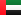 AE flag