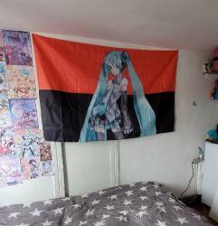 24251