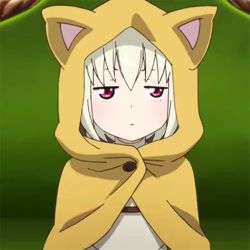 25271