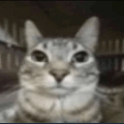 69490
