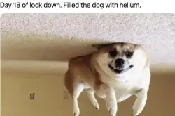 81730