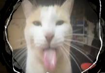 82390
