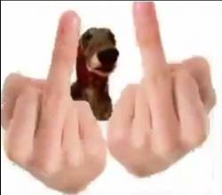 85371