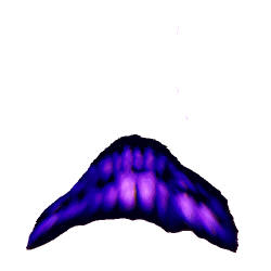 87080