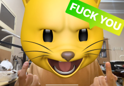 88151