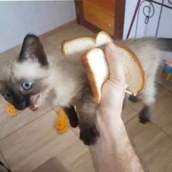 89770