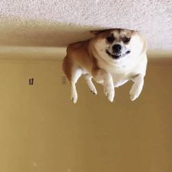 90810