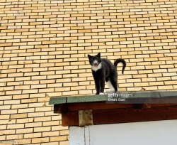 98190