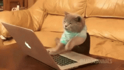 98520