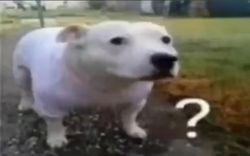 290350