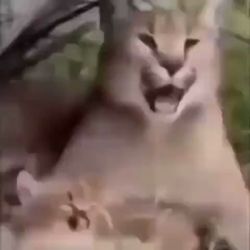 298050
