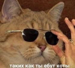 475630