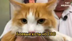 482860