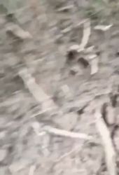 525770