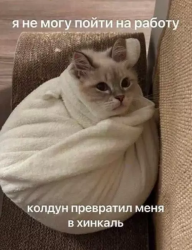 698510
