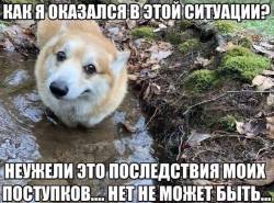 703050