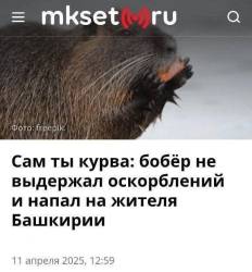 3767530
