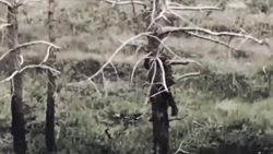 3767960
