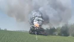 3767981