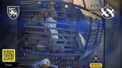 3775842