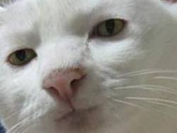 3783490