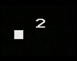 3951931
