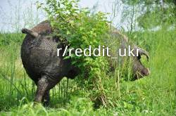 3952030