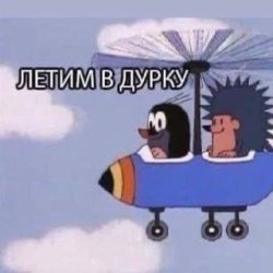 3952781