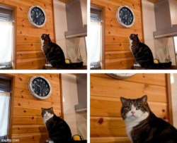 4271370