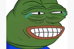 4271830