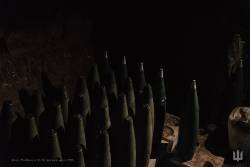 4391693