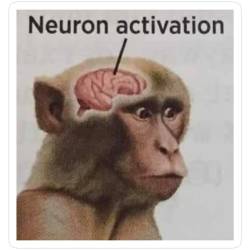 4392350