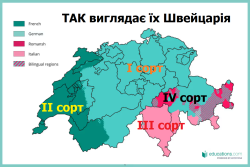 4393570