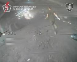 4395731