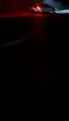 4422691