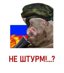 4426051