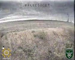 4451601