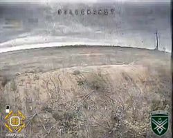 4451602