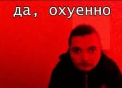 4462841